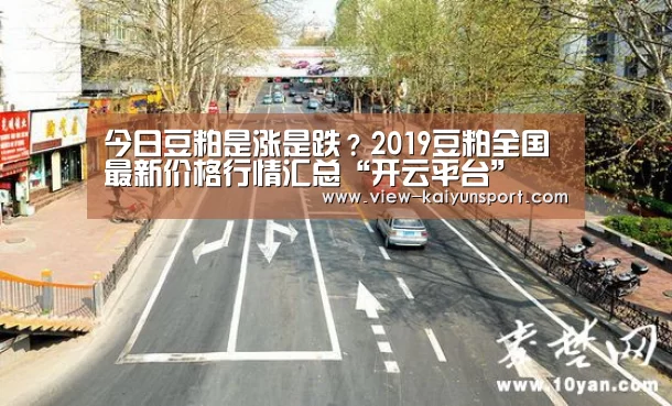 今日豆粕是涨是跌?2019豆粕全国最新价格行情汇总“开云平台”(图3) 开云体育