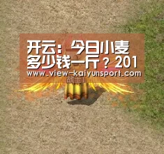 开云:今日小麦多少钱一斤?2018全国各个地区小麦收购价格行情(图1) 开云平台